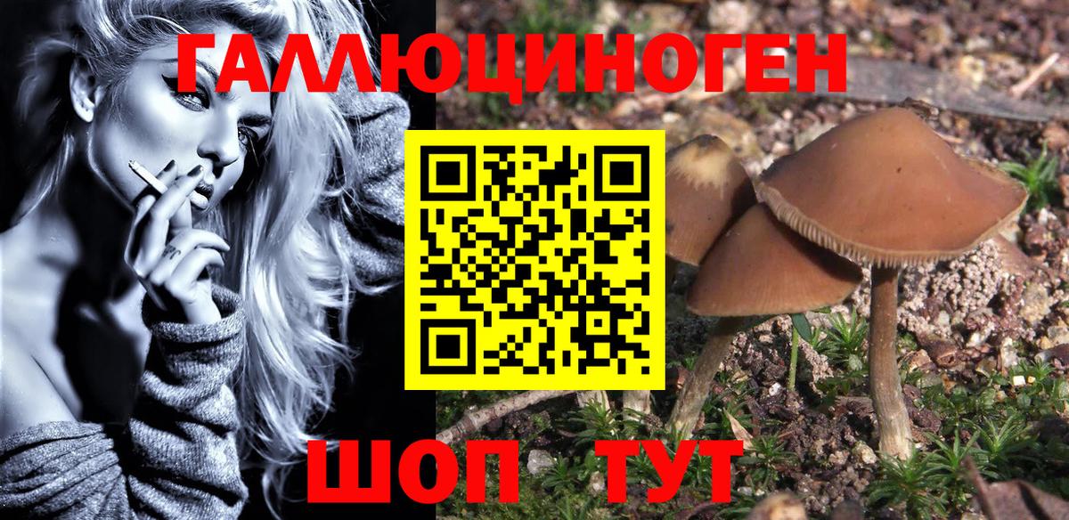 Галлюциногенные грибы Magic Shrooms  сколько стоит  Воронеж  Вход с VPN  Галлюциногенные грибы GOLDEN TEACHER 